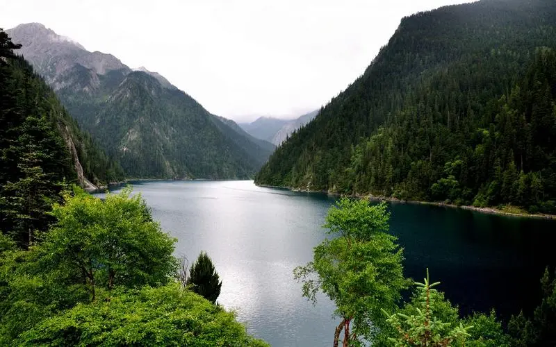 电子可靠性